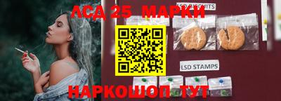 дмт Донской