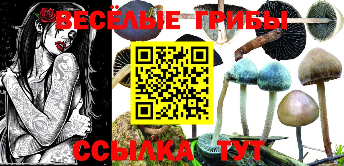 Псилоцибиновые грибы GOLDEN TEACHER  Вход с VPN  Лянтор 